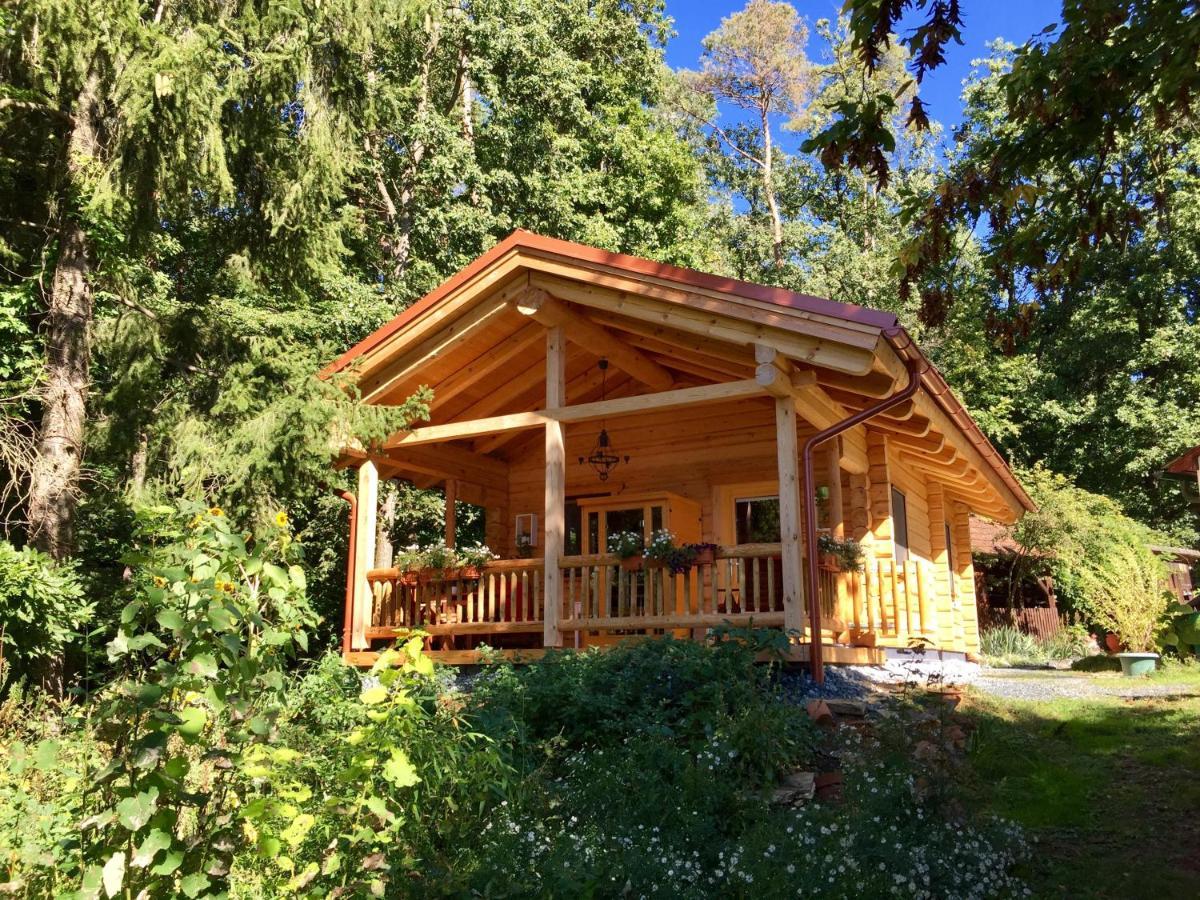 Blockhaus Chalet Mit Beheizbarem Badefass Und Infrarotsauna Auf Der Terrasse Oberschützen Exteriér fotografie
